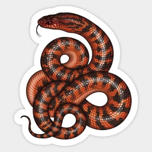 Collett’s Snake Sticker